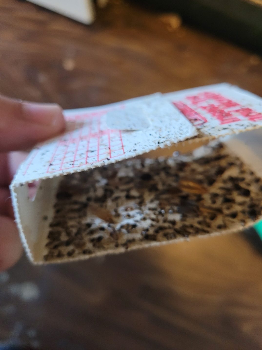 Cockroach monitor trap: Monitor traps show where they're coming from